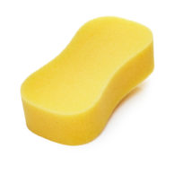 Large Sponge